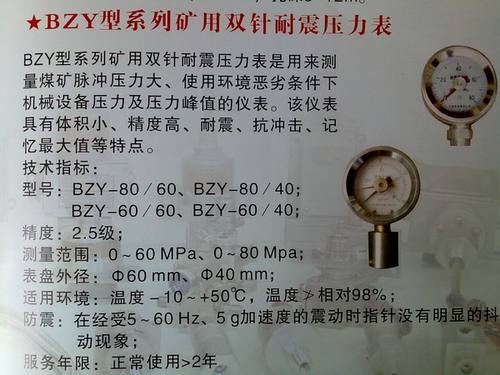 BZY型系列矿用双针耐震压力