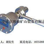 压力计(便携式)