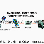 锚杆(索)应力监测